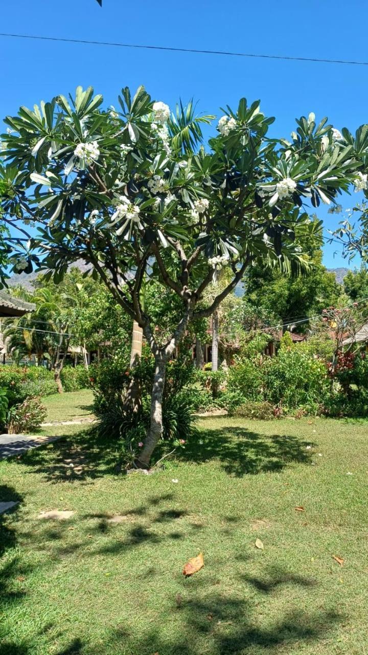 The Beach Bungalows & Turtle Sanctuary Pemuteran Esterno foto